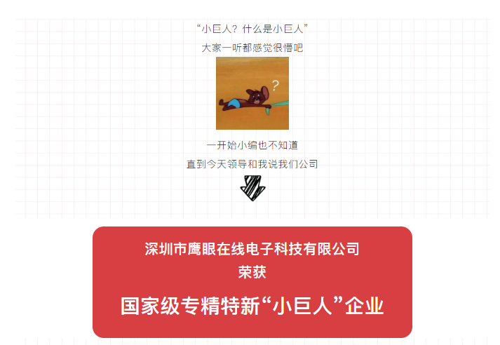 国家级“小巨人”企业，PA旗舰科技上榜啦